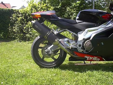 Aprilia RSV 1000R billede 9