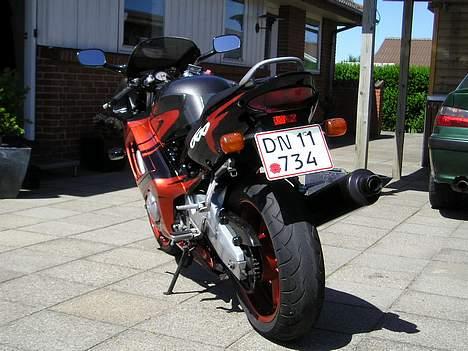 Honda CBR 600 F3 "SOLGT" - Et bagdæk sladre om at der køres meget på baghjul billede 3