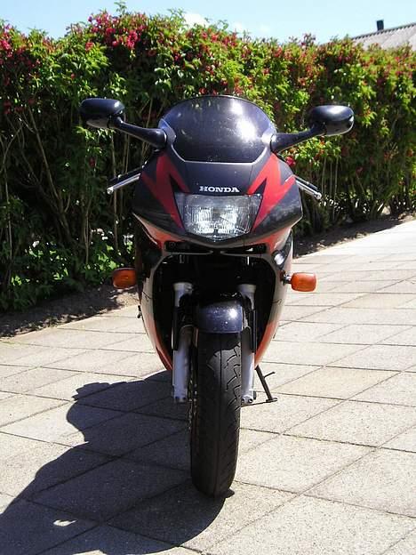 Honda CBR 600 F3 "SOLGT" billede 4