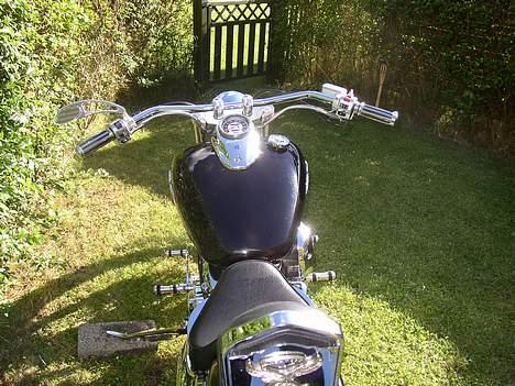 Yamaha Dragstar xvs 650 billede 5