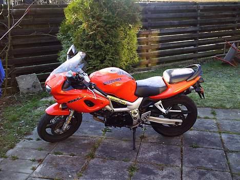 Suzuki SV650s - SVinet en meget kold morgen billede 1