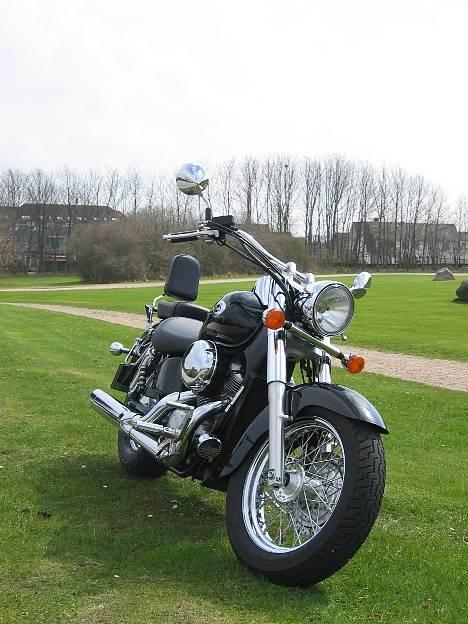 Honda Shadow VT750 ACE [SOLGT] billede 3