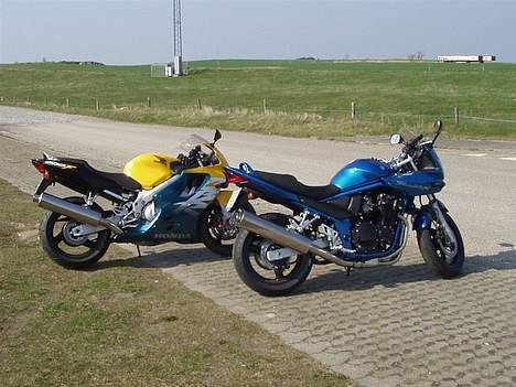 Honda CBR 600 F4 *SOLGT* - Den gule djævel i følgeskab af  en rigtig bandit ;-) billede 3