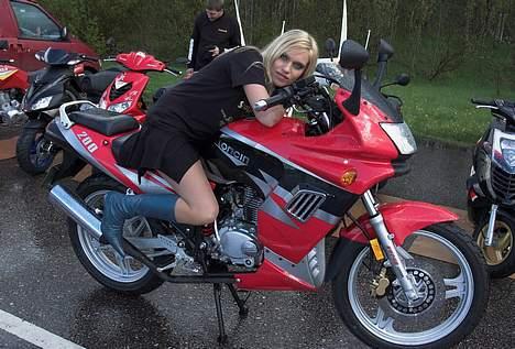 Loncin Olympic "SOLGT" - billede taget til scooter træf i Kolding billede 6