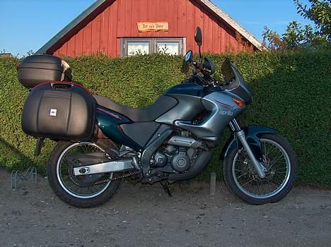 Aprilia Pegaso 650 ie billede 1