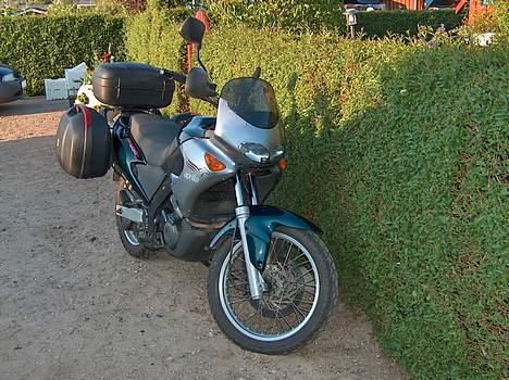 Aprilia Pegaso 650 ie billede 3