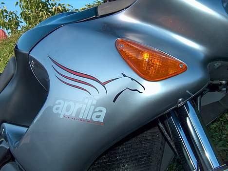 Aprilia Pegaso 650 ie billede 4