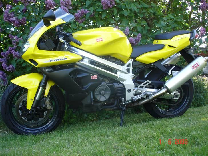 Aprilia  Falco SL 1000 (SOLGT) - Sommer 08 billede 1
