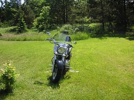 Suzuki VL800 billede 2