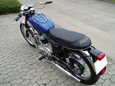 Triumph Trophy TR6 - lige klar til en tur ud i det blå billede 3