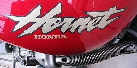 Honda  CB 600 F Hornet - Fed farve og Fed Ged :D billede 3