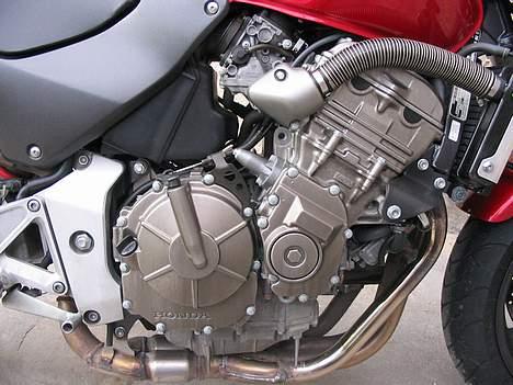 Honda  CB 600 F Hornet billede 4