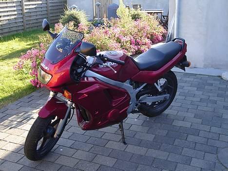 Suzuki GS 500e billede 4