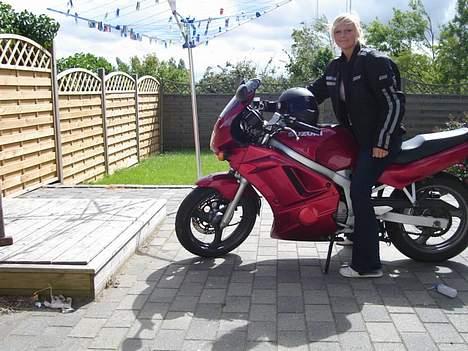 Suzuki GS 500e billede 8