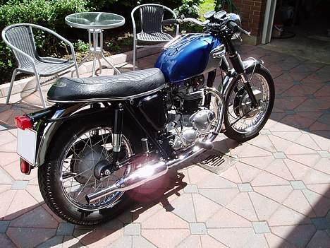 Triumph Trophy TR6 billede 5