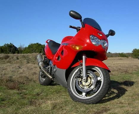 Suzuki GSX 600 F - UDE I NATUREN... billede 15