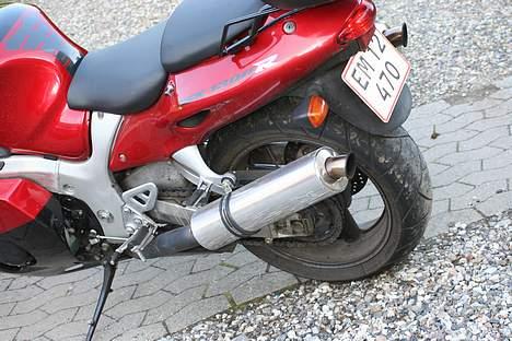 Suzuki GSX 1300R Hayabusa - Viper Potter billede 4