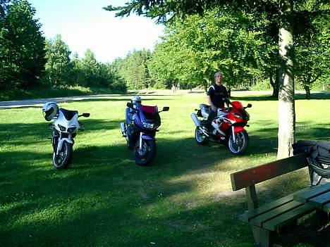 Suzuki RF900TilSalg              billede 6