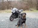Honda cbr1000rr