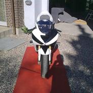 Kawasaki zx6r banejern