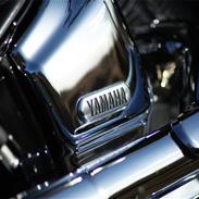 Yamaha Dragstar 1100