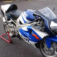 Suzuki tl1000r