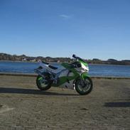 Kawasaki Zx6r NINJA