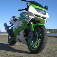 Kawasaki Zx6r NINJA