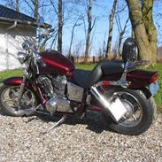 Honda shadow 
