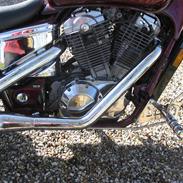 Honda shadow 
