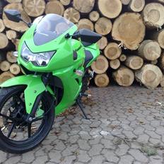 Kawasaki Ninja 250R