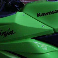Kawasaki 250r Grøn SOLGT