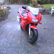 Suzuki RF 600R (SOLGT)