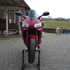 Yamaha R1 black / candy red
