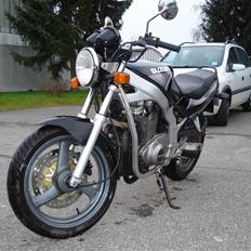 Suzuki Gs 500E