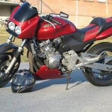 Honda Cb 600 Hornet