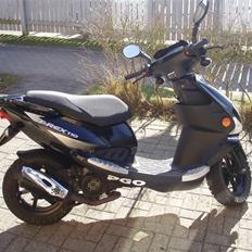 PGO T-REX 110