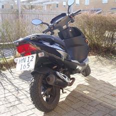 PGO T-REX 110