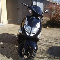 PGO T-REX 110
