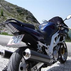 Suzuki SV1000S (død, krøllet i Dolomitterne)