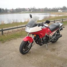 Yamaha FJ 1100
