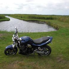 Suzuki bandit  1200