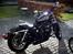 Harley Davidson Sportster XL 883 Roadster - Så fik banditten solo seat !!!