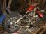 Triumph tiger 100 ss    