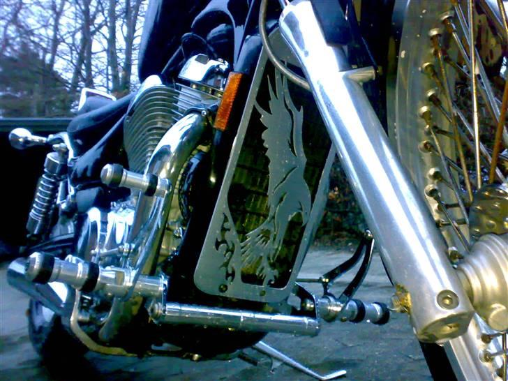 Suzuki intruder - ørnen er landet billede 8