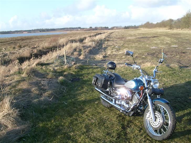 Yamaha XVS Dragstar ###SOLGT### billede 8