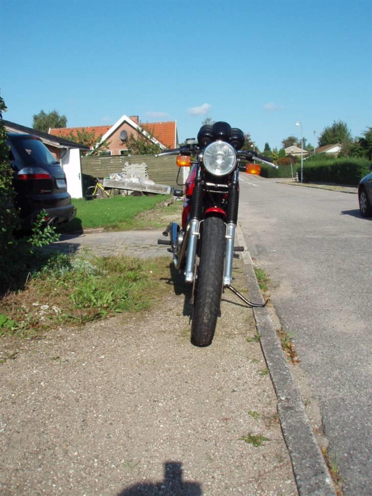Triumph Buccaneer billede 6
