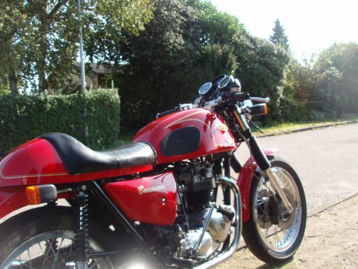 Triumph Buccaneer billede 9