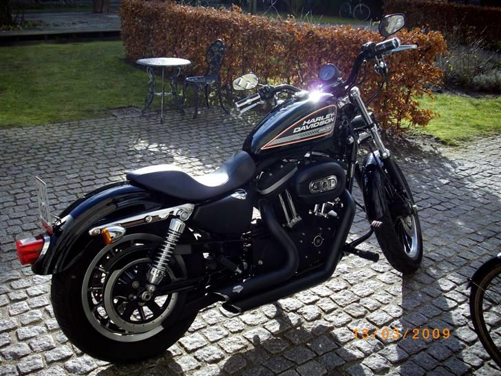 Harley Davidson Sportster XL 883 Roadster - Så fik banditten solo seat !!! billede 9