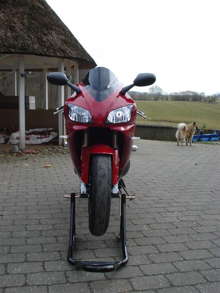 Yamaha R1 black / candy red billede 2